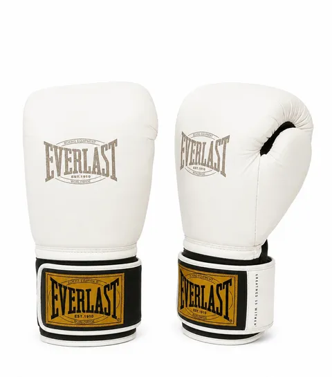 Everlast boxing gloves