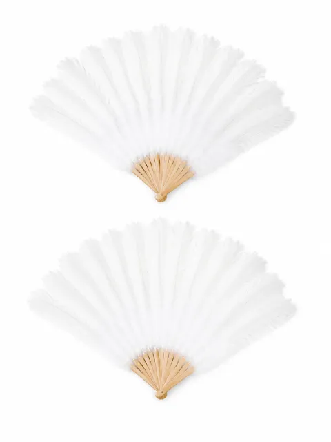 Decorative feather fan