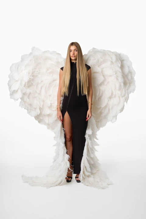 Handmade Angel White wings large