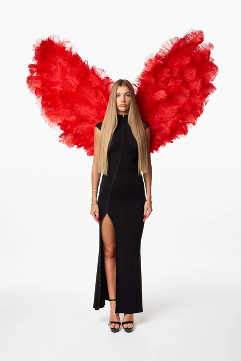 Handmade Red Peacock wings