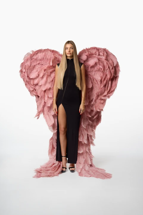 Large pink wings