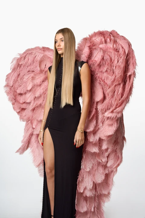 Large pink wings