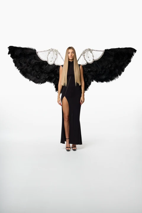 Black wings with rhinestones and crystals