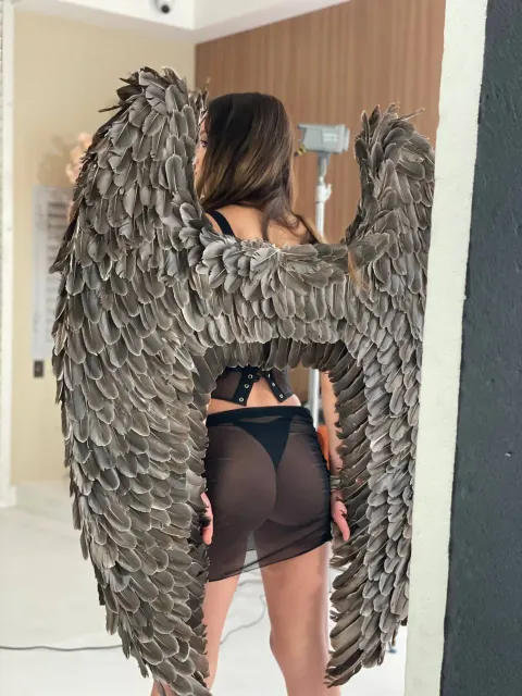 Pigeon Grey wings