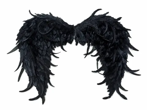 Black wings
