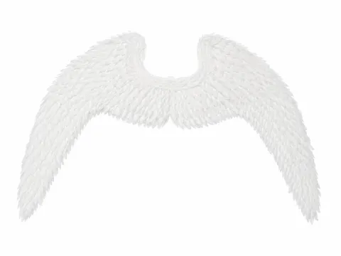 Small white wings