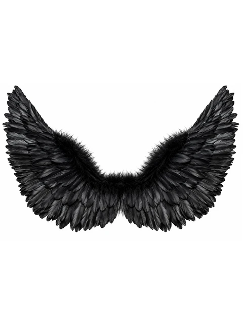Black wings